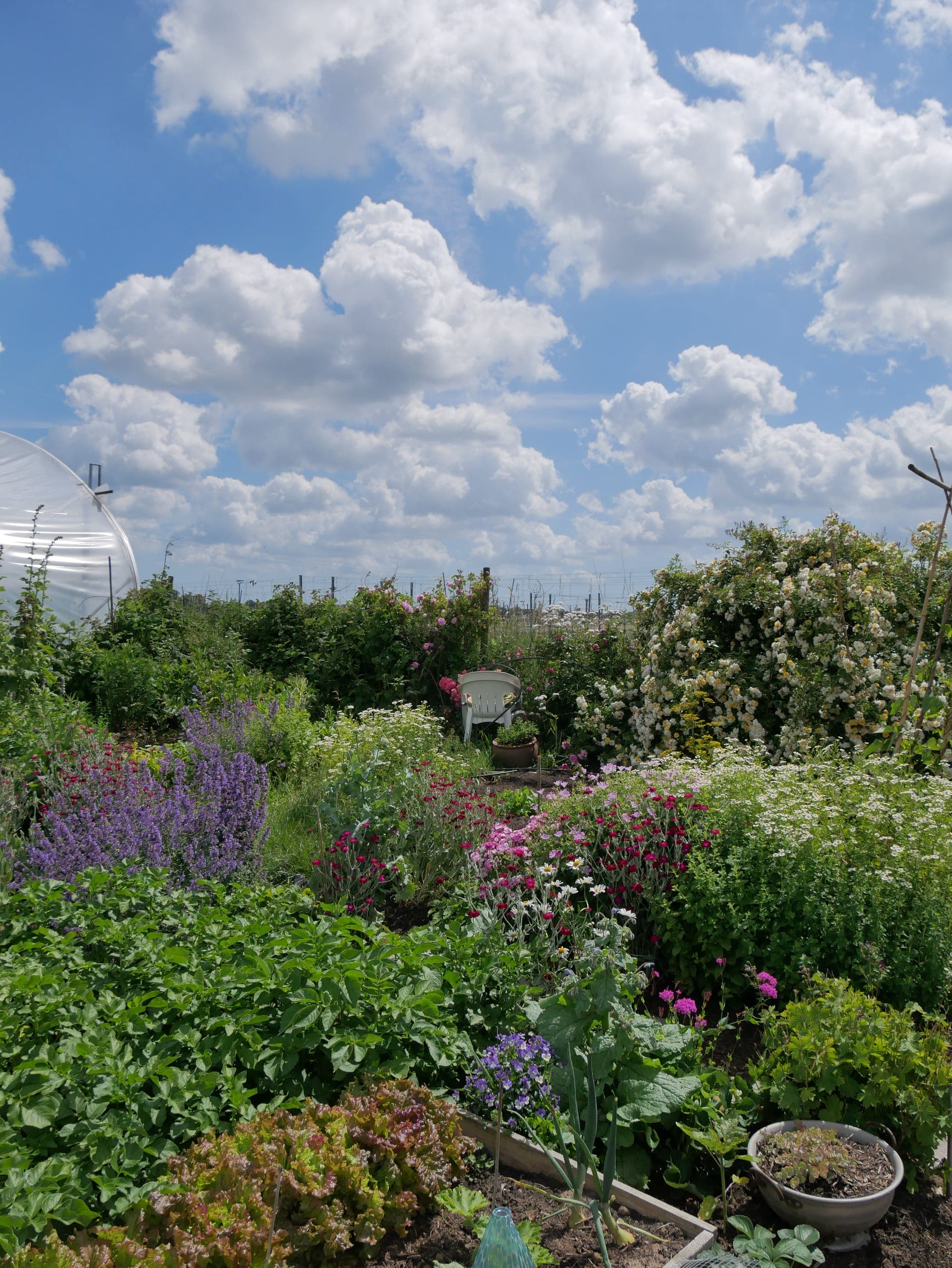 Mein Garten – Gartenparzellen am Obsthof Scholz-Döbelin