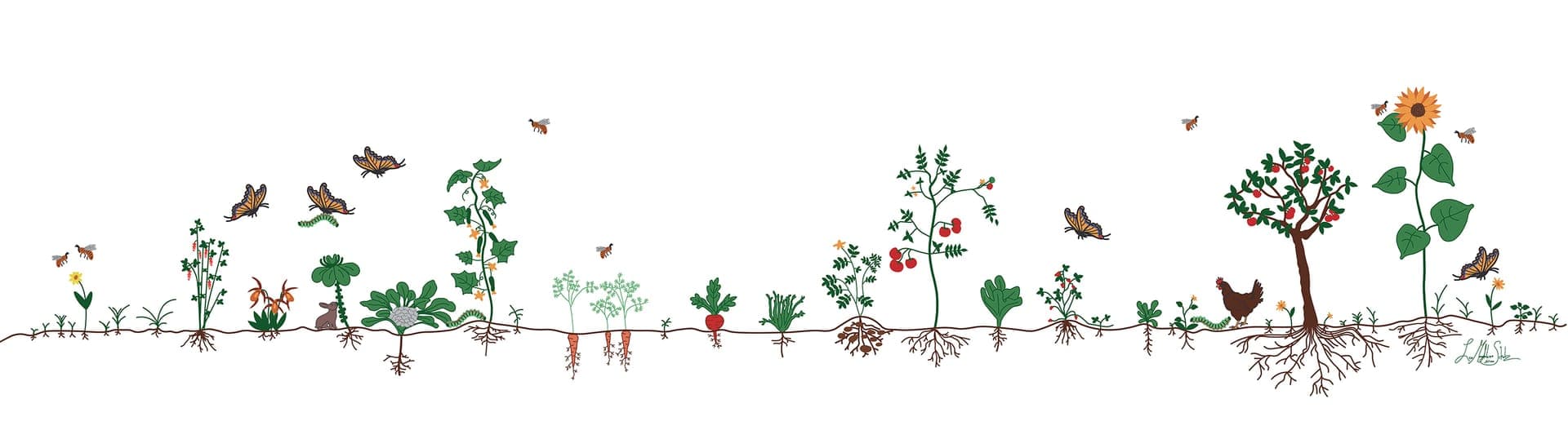 Obsthof Scholz-Döbelin Illustration