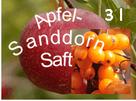 Apfel-Sandorn Saft 3L Karton