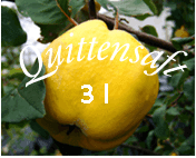 Quittensaft 3L Karton
