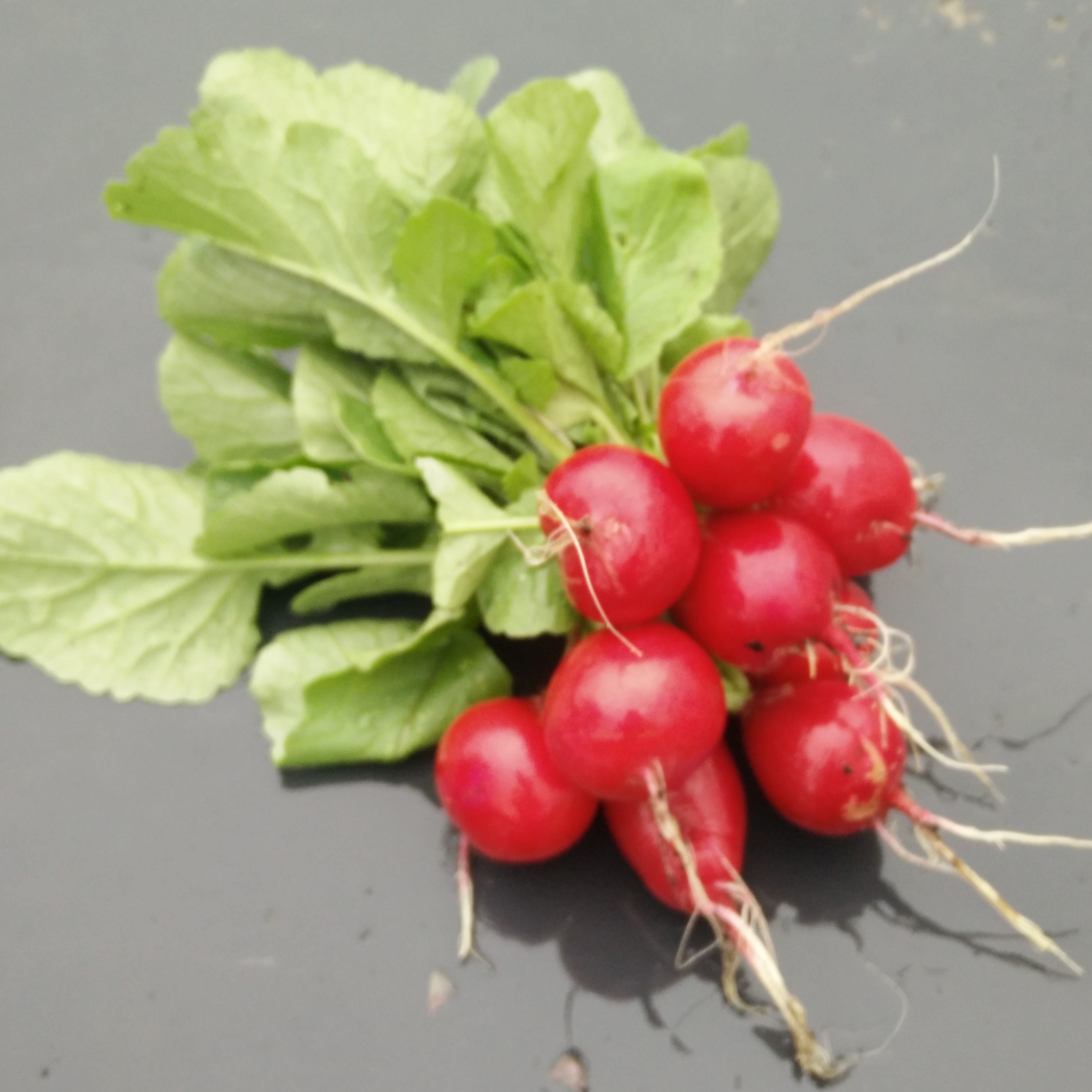 Für unseren Betrieb…